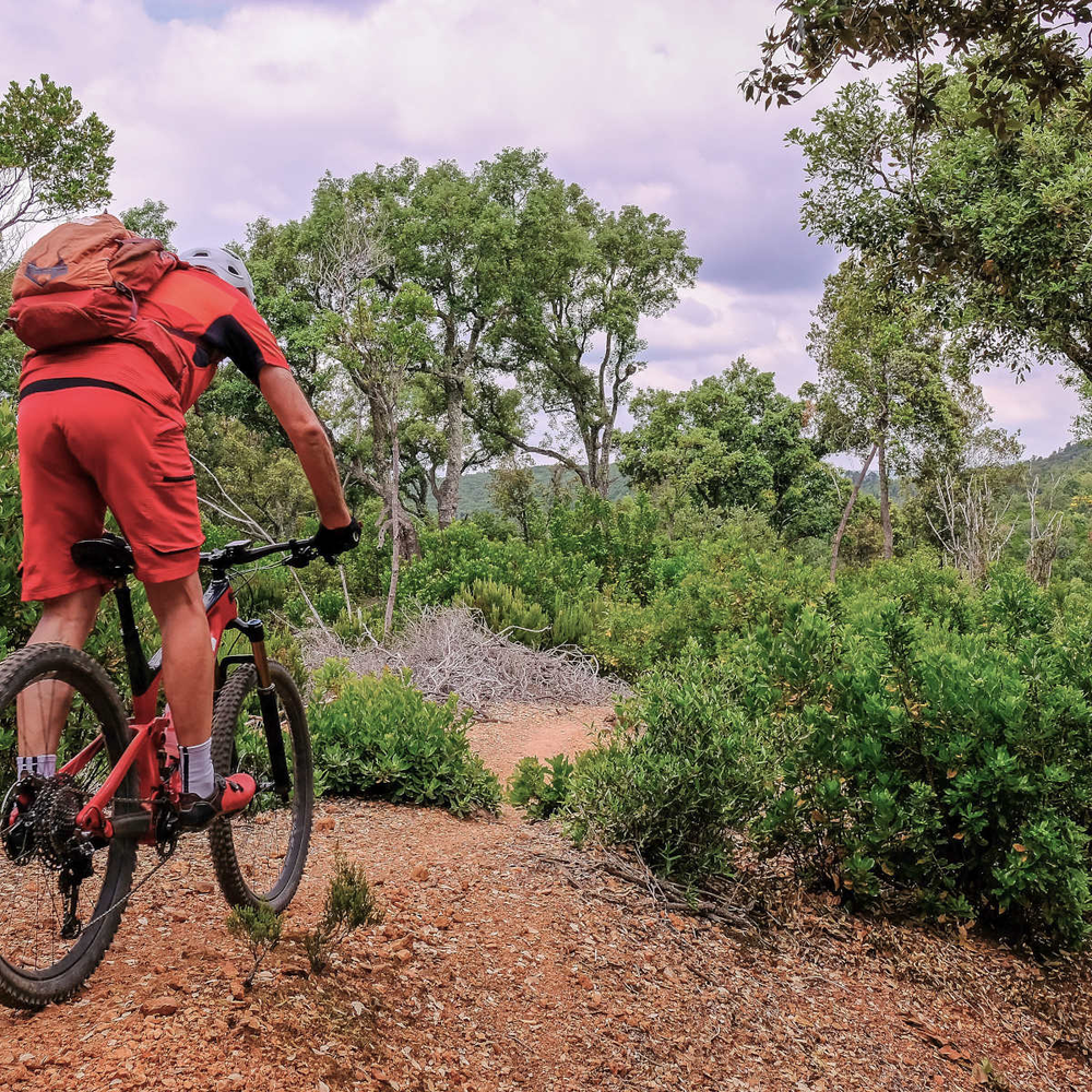 Mann fährt mit einem E-Mountainbike durch die Natur