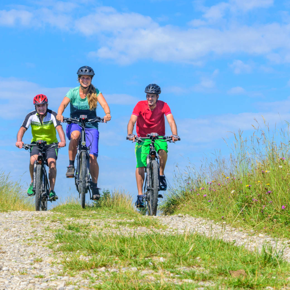 Drei E-Bike Fahrer, fahren auf einem Gelände