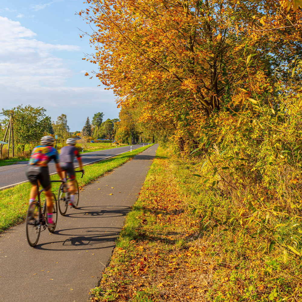 Fahrradfahrer fahren auf einem Radweg in der Natur