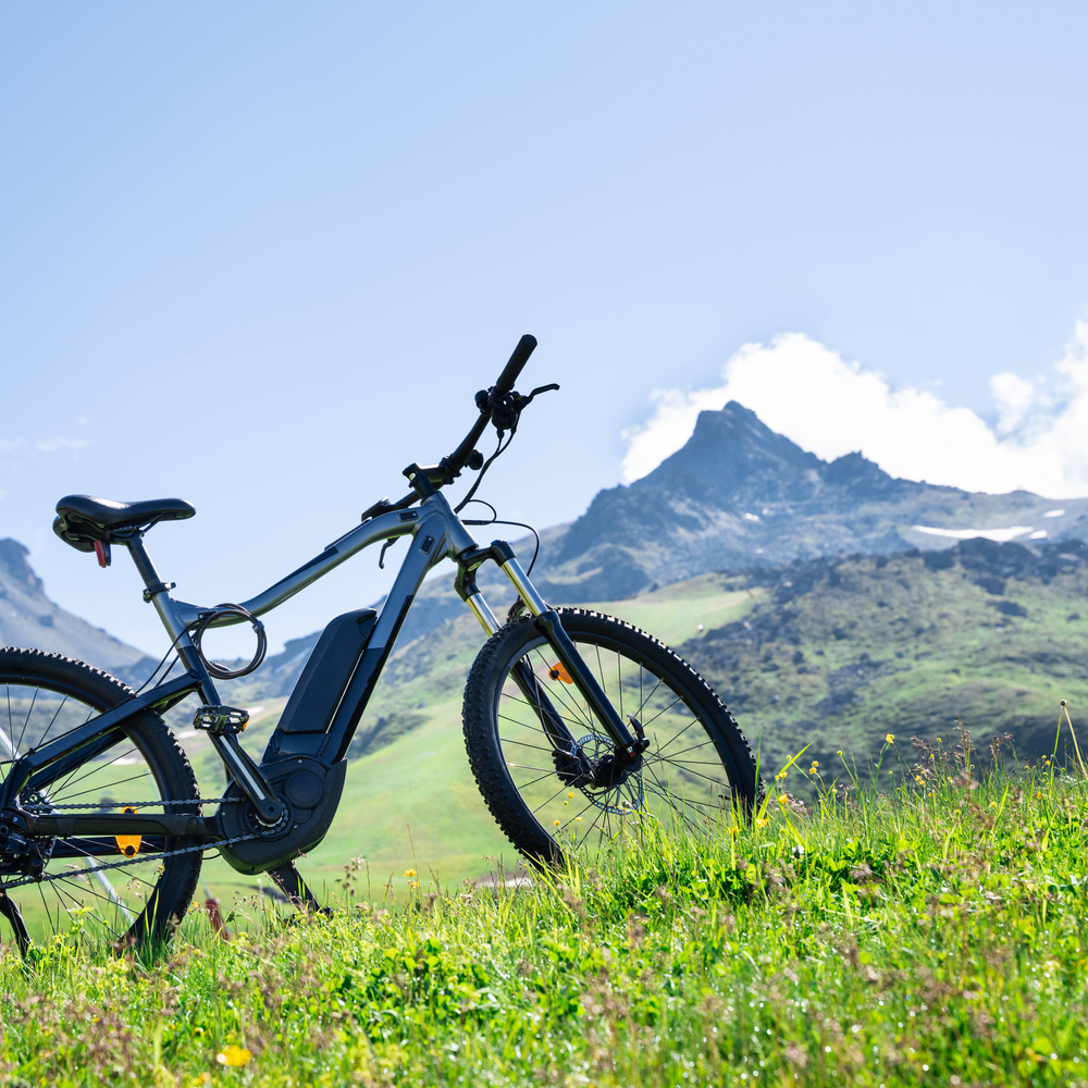 Ein E-Bike steht auf einer grünen Wiese