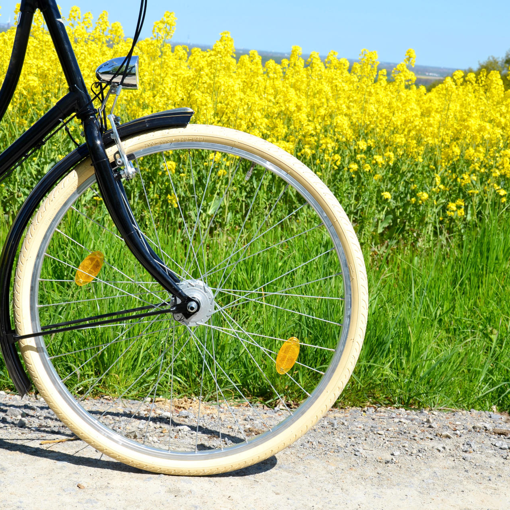 Fahrrad steht vor einem Blumenfeld