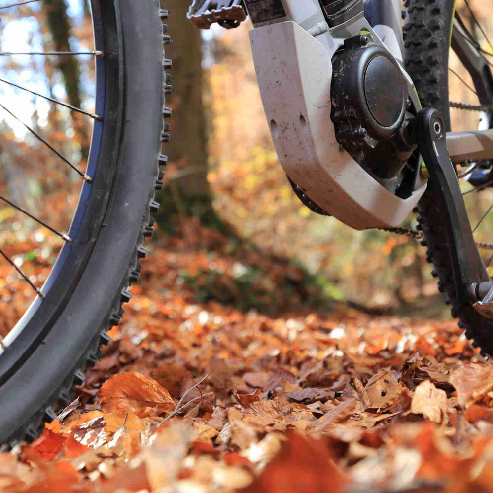 Bosch Modelljahr 2023: Mit diesen Neuheiten können Sie rechnen E-Mountainbike fährt auf nassem Waldboden