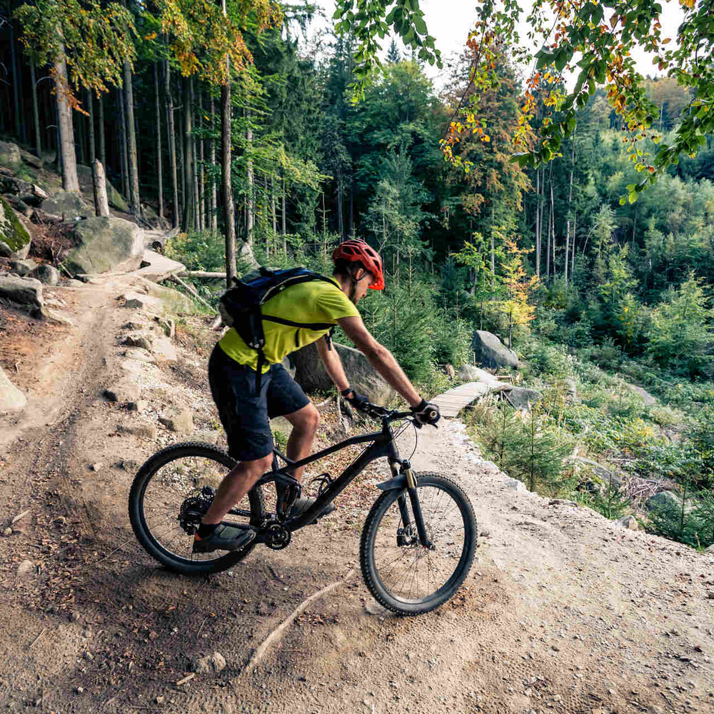 Mountainbiker fährt durch Wald