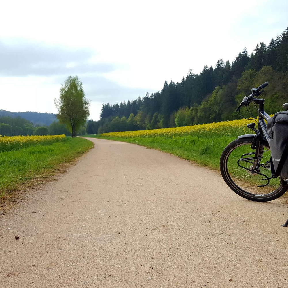 Ein Reiserad steht auf einem Radweg.