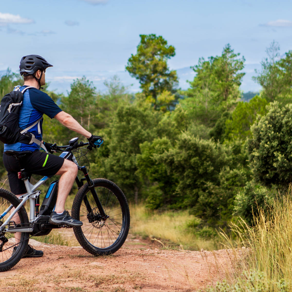 Mann auf E-Bike fährt durch Landschaft.