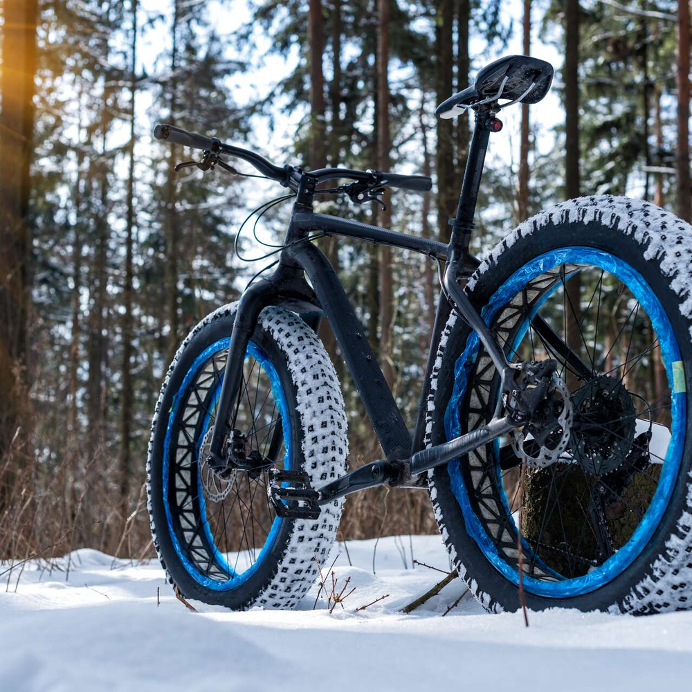 Fatbike im verschneiten Wald bei Sonnenschein