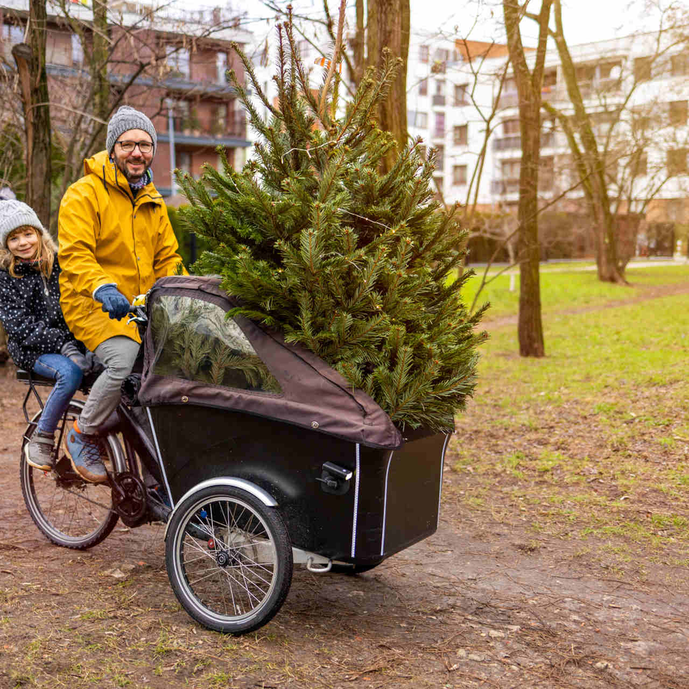 Mann fährt mit Tochter und Weihnachtsbaum auf Lastenrad