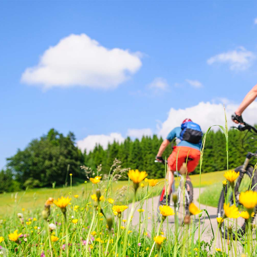 Drei Radfahrer fahren durch die Landschaft