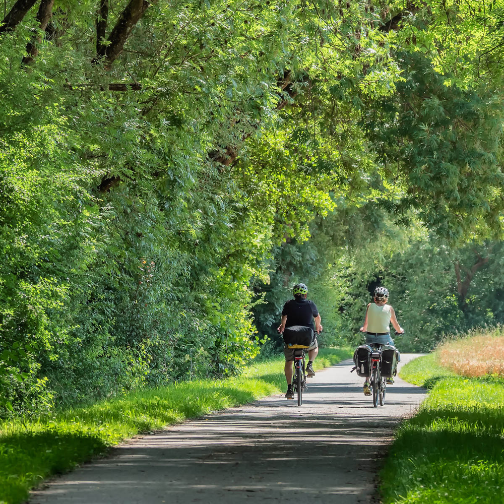 Zwei Radfahrer fahren auf einem Radweg durch einen Wald