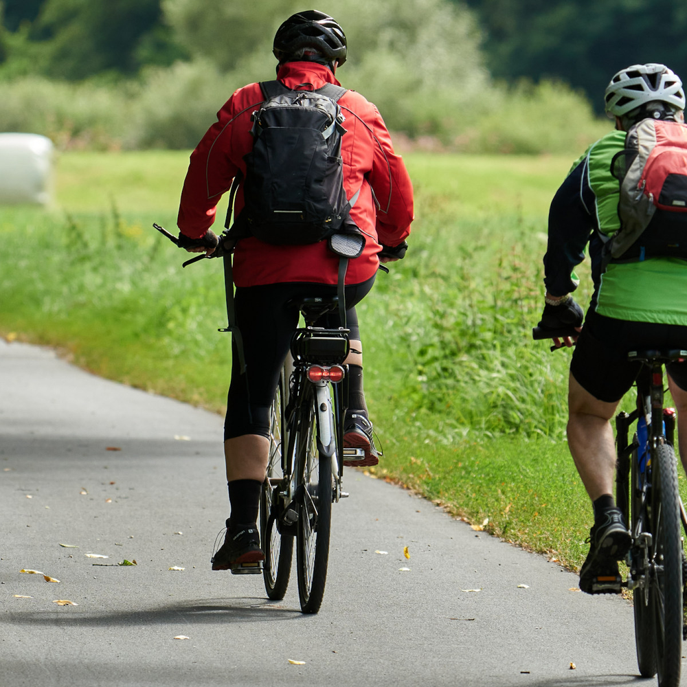 Vier Fahrradfahrende von hinten, die einen Fahrradweg entlangfahren