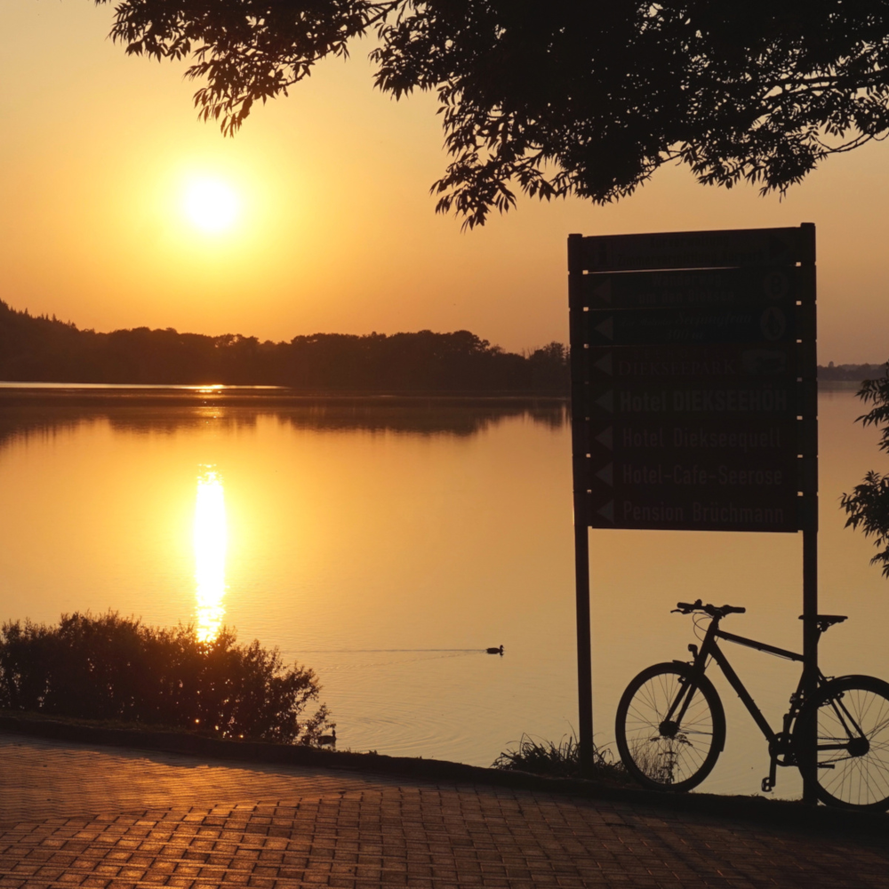 Blick auf einen See bei Sonnenuntergang Silhouette von Bäumen Schild Fahrrad Spielgelung Reflektion der Sonne auf dem See