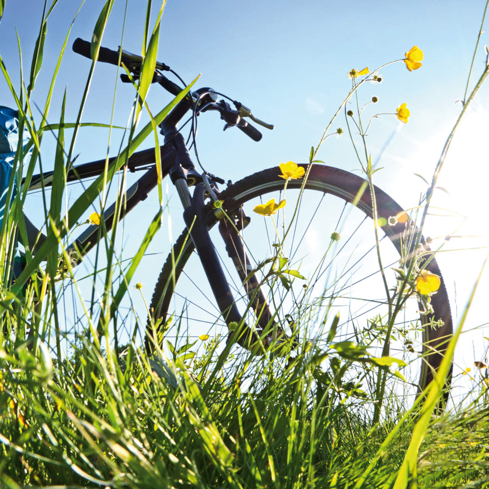 Ein Fahrrad im Rasen