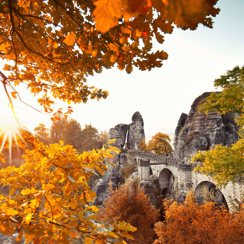 Basteibrücke im Herbst